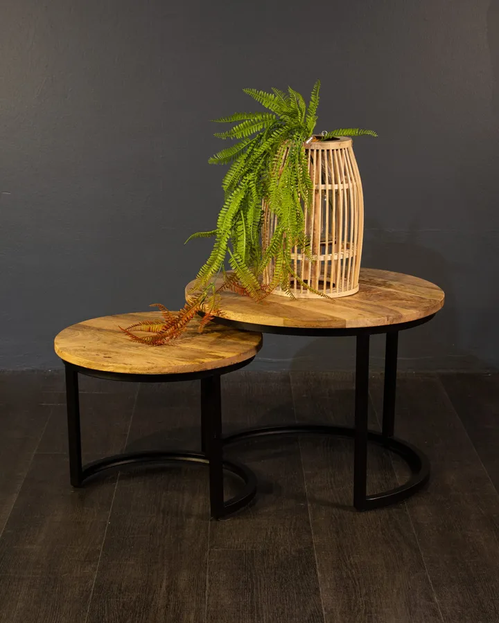 Salontafel Set van 2 Rond, Mangohout, Industrieel