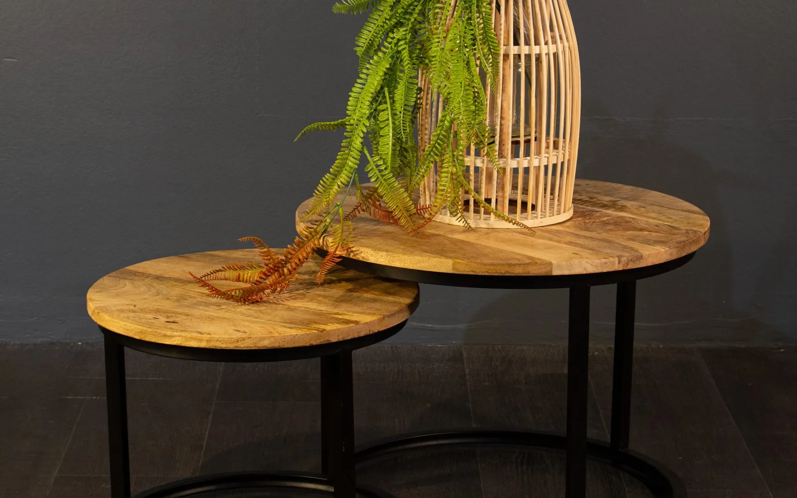 Salontafel Set van 2 Rond, Mangohout, Industrieel