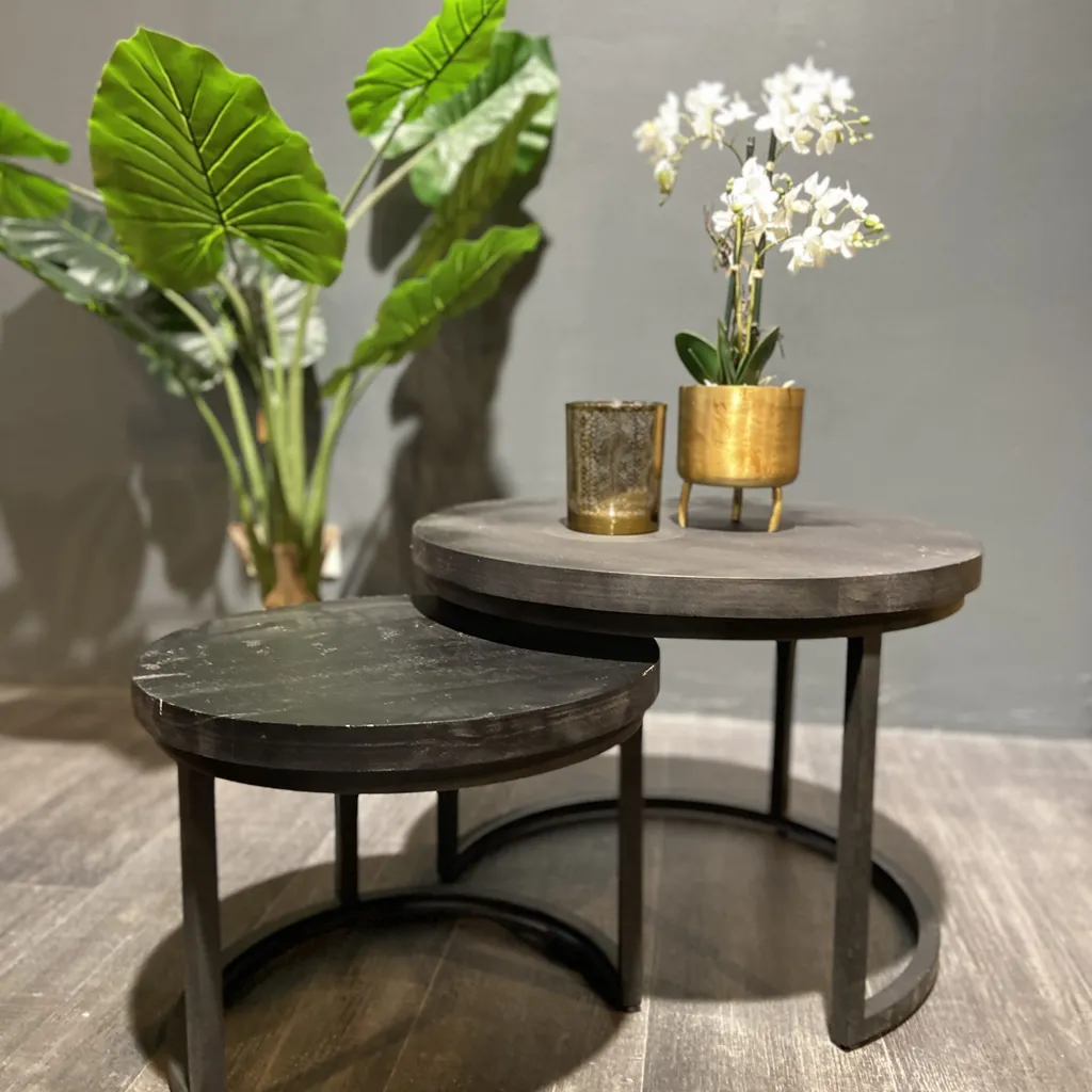 Salontafel Set van 2 Rond, Zwart Mangohout, Industrieel Design, 58x58x42 cm