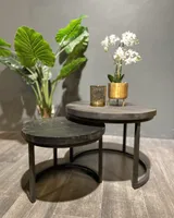 Salontafel Set van 2 Rond, Zwart Mangohout